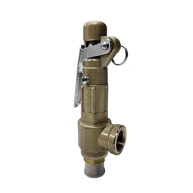 Safety Valve
